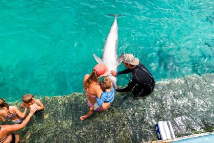 Dolphin_encounter3_verkleind